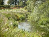 Landscapes - Sold (29)